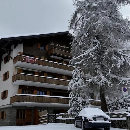 Avouitzons Medran - Ski-in Ski-out 30 Meters From Medran Lift And 40 Meters From W Apartment Verbier